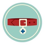 Pet Project Rescue - Pet Stores in Minneapolis