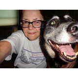Grammas Pet Sitting - Pet Stores in Minneapolis