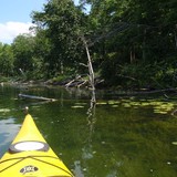 Pine Terrace Resort - Other in Crosslake