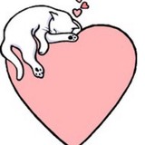 Whisker Rescue - Fire Departments in Minneapolis