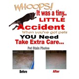 Cyclone Carpet Cleaning - Carpet Cleaning in Rochester