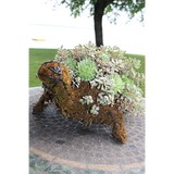 Tree 'N Turf Service Inc - Other in Spicer