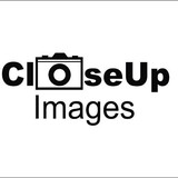 Closeup Images - Commercial Photography in Saint Paul