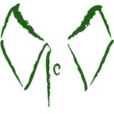 St Croix Cleaners - Cleaning Services in Minneapolis