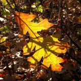 Prairie Ecology Bus Center - Other in Lakefield