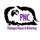 N Chin Peke Midwest - Other in Thief River Falls