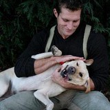 St Paul Pet Hospital - Veterinarians/Vets in Saint Paul