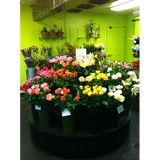 A Johnson & Sons Florist - Florists in Saint Paul
