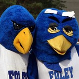 Foley Intermediate School - Other in Foley