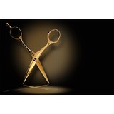 Hair Mania - Hair Salons in Cambridge