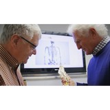 Associated Chiropractic Physicians - Chiropractors in Duluth
