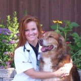 Andrusko-Bipes, Kristina DVM - Veterinarians/Vets in Saint Paul