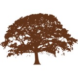 Greer's Massage Center - Massage Therapy in Saint Paul