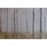Paul Damon - Landscape Painter - Specializing - Painters & Decorators in Saint Paul