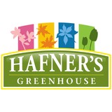 Hafner's Greenhouse - Other in Park Rapids