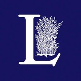 Lynblomsten Apartments - Apartments in Saint Paul