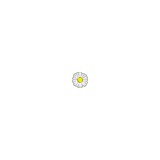 Daisy Carpet Cleaning - Carpet Cleaning in Saint Paul