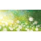 Christian Recovery Center - Churches in Rockford