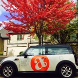 Alison's Cleaning - Cleaning Services in Minneapolis