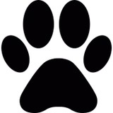 Rescued Pets Are Wonderful - Pet Stores in Minneapolis