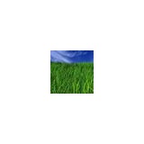 Top Green Landscape - Landscaping in Saint Paul