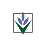 Village Green Landscapes Inc - Landscape Architects in Saint Paul
