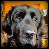Kennelz & Bitz - Other in Moose Lake