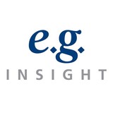 E.G. Insight, Inc. - Business Consulting in Saint Paul