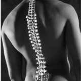 Spine Care Pa - Chiropractors in Minneapolis