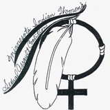 MN Indian Women Sexual Assault - Social Services in Saint Paul