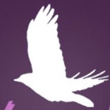 Breaking Free - Social Services in Saint Paul