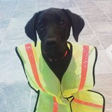 Franz Reprographics - Graphic Design in Rochester