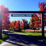 Windsong Farm Golf Club - Other in Maple Plain