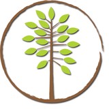 Life Core Yoga - Yoga in Saint Paul