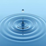 Syneco Systems Inc - Other in Chanhassen