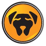 Black Dog Consulting - Marketing in Lakeville