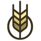 Organic Interactive - Web Design & Development in Saint Paul