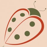 Ladybug Child Care Center - Other in Waconia