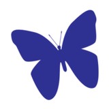 New Creations Childcare Center - Child Care & Day Care in Minneapolis