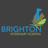 Brighton Veterinary Hospital - Veterinarians/Vets in Saint Paul