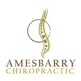 Amesbarry Chiropractic - Chiropractors in Burnsville