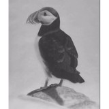 Wandering Puffin LLC - Travel Agents in Minneapolis