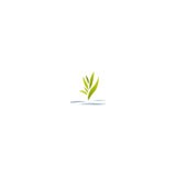 Senior Care Providence LLC - Elderly Services & Elderly Care in Minneapolis