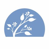 Madden Joseph T DDS - Dentists in Minneapolis