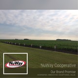 Nu Way Cooperative (Inc) - Other in Saint James