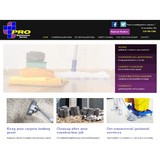 Pro Maintenance Service - Carpet Cleaning in Alexandria