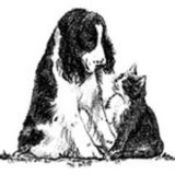 Keller Lake Animal Hospital - Veterinarians/Vets in Saint Paul