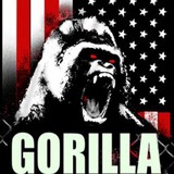 Gorilla Combat LLC - Other in Chanhassen
