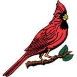 Cardinal of Minnesota - Other in Bemidji