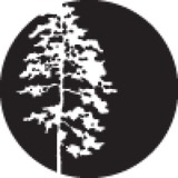 Jodi K Tomm - Business Consulting in Mankato